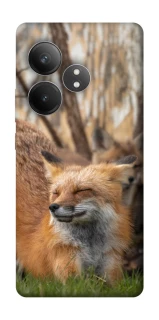 Чехол на Realme GT Neo 6 Лиса фото 1 из 1