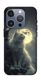 Чехол на Apple iPhone 16 Pro Кот под луной фото 1 из 1