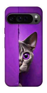 Чохол на Google Pixel 9 Pro Кіт-підглядач фото 1 з 1
