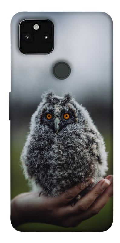 Чехол на Google Pixel 5A Совёнок фото 1 из 1