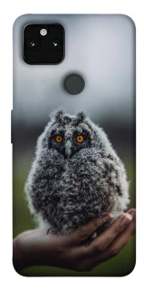 Чохол на Google Pixel 5A Совеня фото 1 з 1