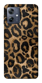 Чохол на Motorola Moto G54 Leopard Skin фото 1 Чохол на Motorola Moto G54 Leopard Skin фото 1 з 1