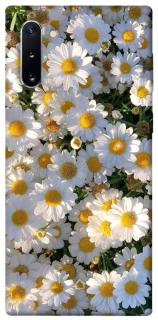 Чехол на Samsung Galaxy Note 10 Поле ромашек фото 1 из 1