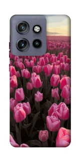 Чехол на Motorola Edge 50 Neo Spring Awakening фото 1 из 1