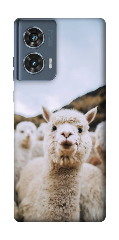 Чехол на Motorola Edge 50 Лама фото 1 из 1