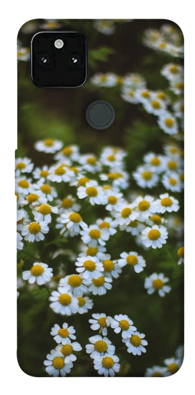 Чохол на Google Pixel 5A Ромашки v13 фото 1 з 1