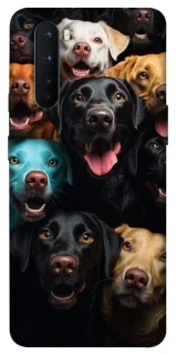 Чехол на OnePlus Nord Собаки фото 1 из 1