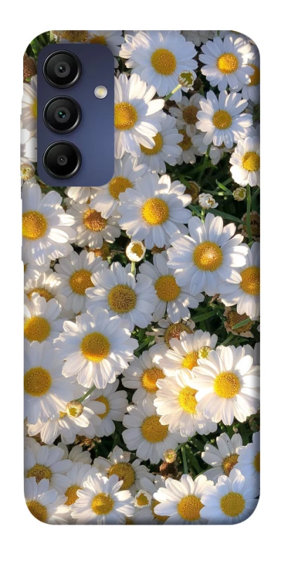 Чохол на Samsung Galaxy A15 4G/5G Поле ромашок фото 1 з 1