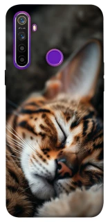 Чохол на Realme 5 Cat paws фото 1 з 1