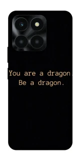 Чехол на Huawei Honor X6a House of the Dragon ver.9 фото 1 из 1