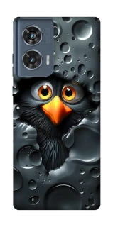 Чохол на Motorola Edge 50 Ну привіт ! фото 1 з 1