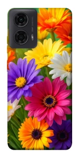 Чохол на Motorola Moto G04 Flowers v32 фото 1 з 1