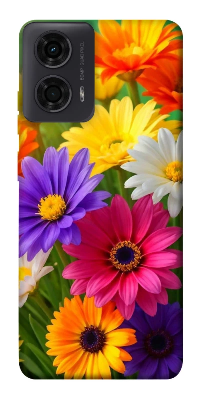 Чохол на Motorola Moto G24 Flowers v32 фото 1 з 1