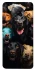 Чохол на Xiaomi Redmi K30 Pro / Poco F2 Pro Собаки фото 1 з 1