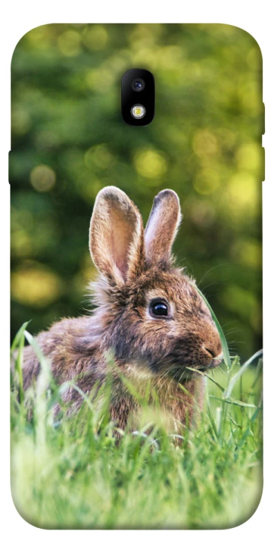 Чохол на Samsung J730 Galaxy J7 (2017) Кролики фото 1 з 1