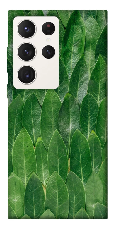 Чехол на Samsung Galaxy S23 Ultra Листья фото 1 из 1