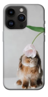 Чохол на Apple iPhone 14 Pro (6.1") Bunny фото 1 з 1