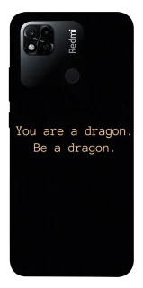 Чехол на Xiaomi Redmi 10A House of the Dragon ver.9 фото 1 из 1