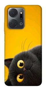 Чехол на Huawei Honor X7a This is Cat фото 1 из 1