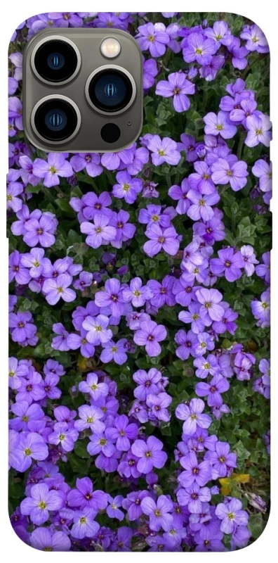 Чохол на Apple iPhone 13 Pro Max (6.7") Flowers v17 фото 1 з 1