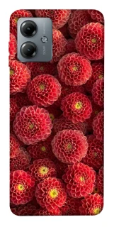 Чохол на Motorola Moto G14 Midnight1 фото 1 з 1