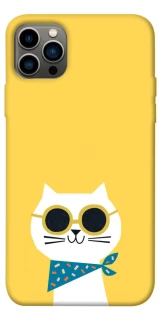 Чехол на Apple iPhone 12 Pro (6.1") Кот-муркот фото 1 из 1