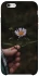 Чохол на Apple iPhone 6/6s (4.7") Ромашка v4 фото 1 з 1