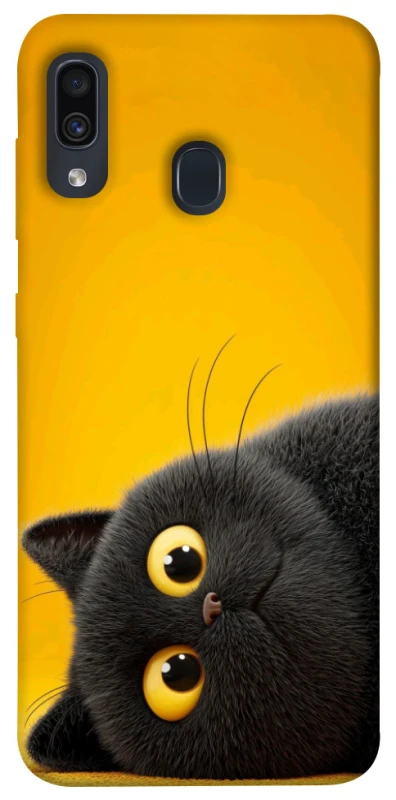 Чохол на Samsung Galaxy A20 / A30 This is Cat фото 1 з 1