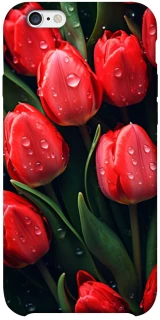 Чохол на Apple iPhone 6/6s plus (5.5") Червоні тюльпани фото 1 з 1