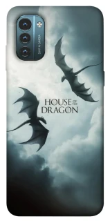 Чехол на Nokia G21 House of the Dragon ver.5 фото 1 из 1