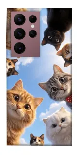 Чехол на Samsung Galaxy S22 Ultra Cats фото 1 из 1