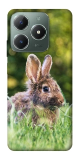 Чехол на Realme C61 Кролики фото 1 из 1