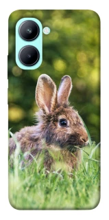 Чохол на Realme C33 Кролики фото 1 з 1
