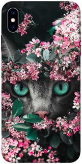 Чохол на Apple iPhone X (5.8") Кіт в квітах фото 1 з 1