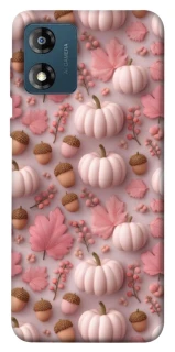 Чехол на Motorola Moto E13 Autumn vibes ver.2 фото 1 Чехол на Motorola Moto E13 Autumn vibes ver.2 фото 1 из 1