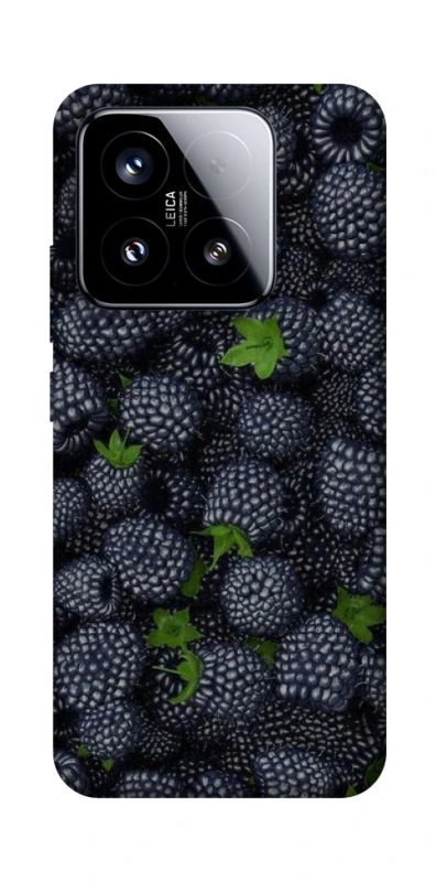 Чохол на Xiaomi 15 Fresh фото 1 з 1