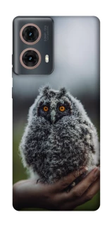 Чохол на Motorola Moto G85 Совеня фото 1 з 1