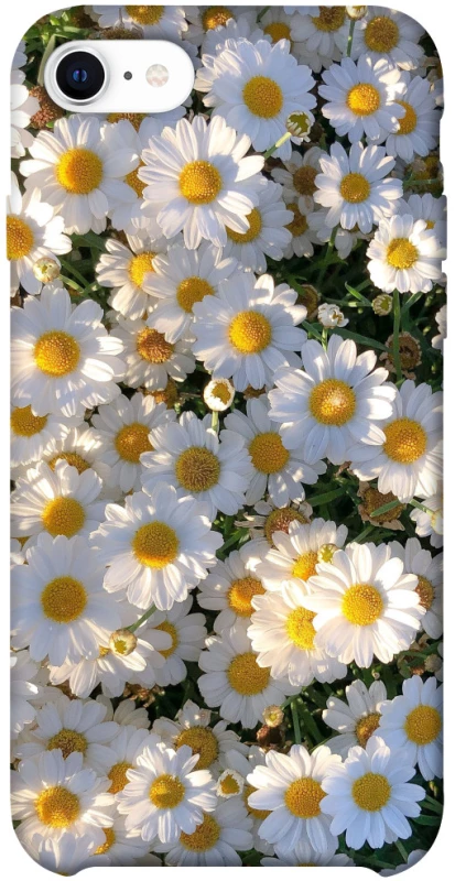 Чехол на Apple iPhone SE (2020) Поле ромашек фото 1 из 1