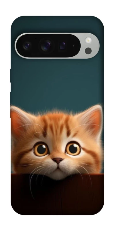 Чохол на Google Pixel 9 Pro XL Чохол Кошеня фото 1 з 1