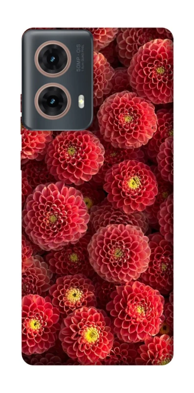 Чохол на Motorola Moto G85 Midnight1 фото 1 з 1