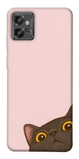 Чехол на Motorola Moto G32 Peeping cat фото 1 Чехол на Motorola Moto G32 Peeping cat фото 1 из 1