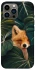 Чохол на Apple iPhone 12 Pro Max (6.7") Fox фото 1 з 1