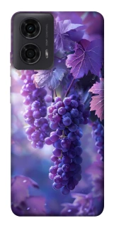 Чохол на Motorola Moto G04 Bunch of grapes фото 1 з 1