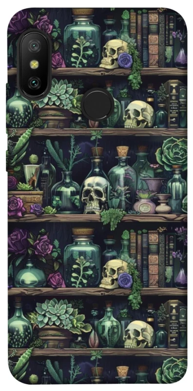 Чохол на Xiaomi Mi A2 Lite / Xiaomi Redmi 6 Pro Bookshelf ver.1 фото 1 з 1