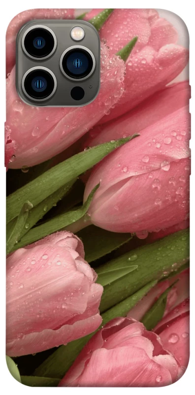 Чехол на Apple iPhone 12 Pro Max (6.7") Beauty фото 1 из 1