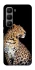 Чехол на Infinix Hot 60 Pro+ Leopard v2 фото 1 из 1
