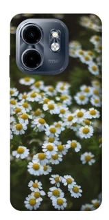 Чехол на Infinix Smart 9 4G / Hot 50i Ромашки v13 фото 1 из 1