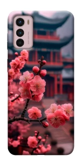 Чохол на Motorola Moto G42 Flowers v29 фото 1 з 1