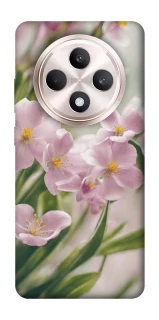 Чохол на Oppo Reno 12 F 4G/5G Spring фото 1 з 1