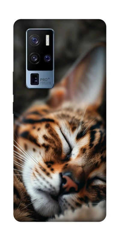 Чехол на Vivo X50 Pro+ Cat paws фото 1 из 1